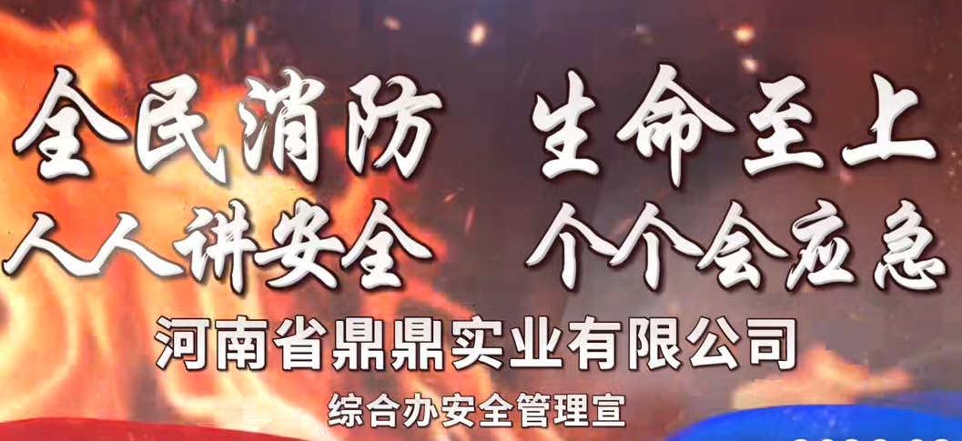 視頻預覽